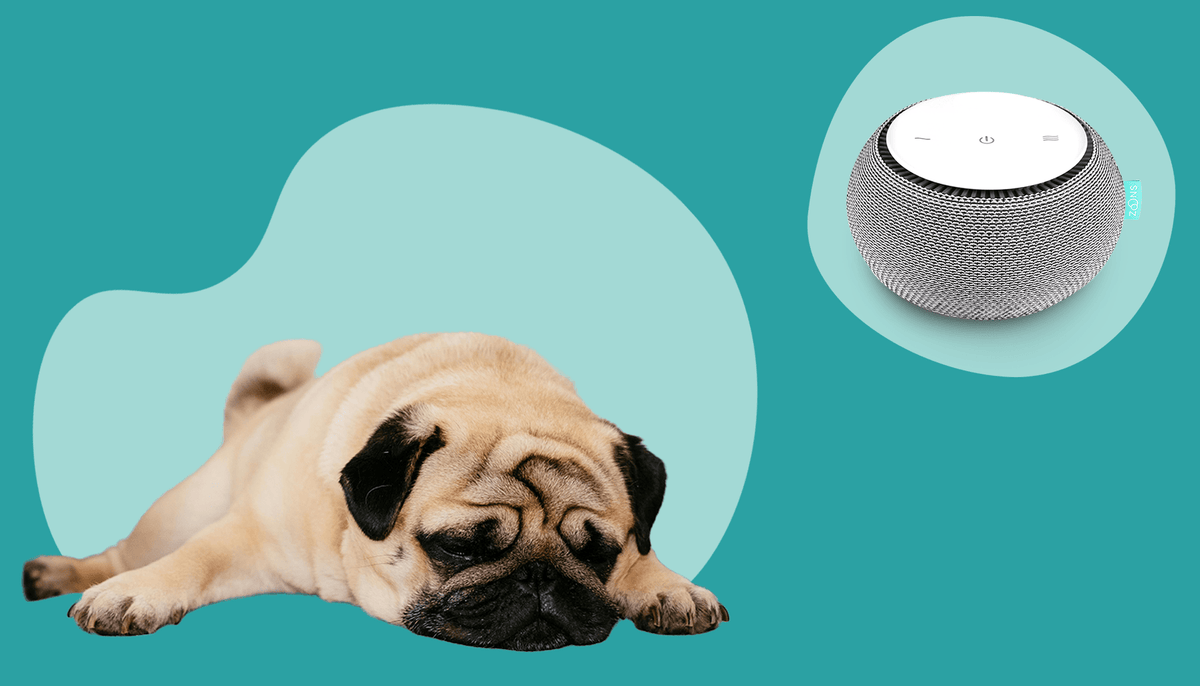 SNOOZ reference product image